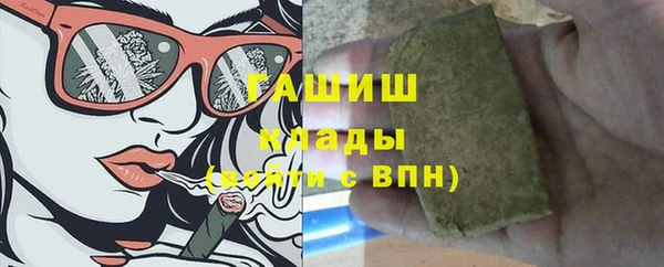 сатива Бородино