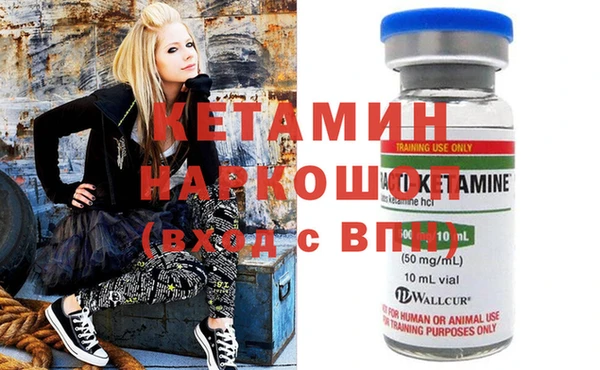 сатива Бородино