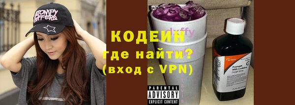 сатива Бородино