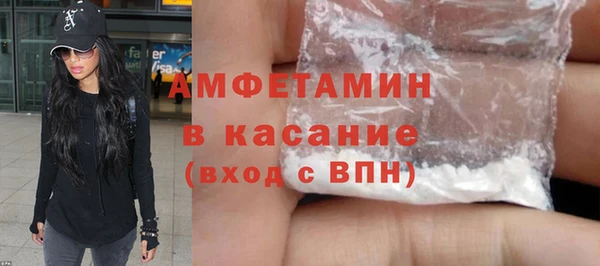 сатива Бородино