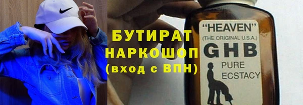 сатива Бородино