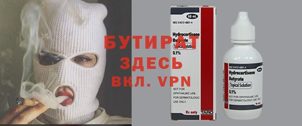 сатива Бородино