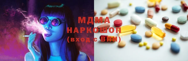 сатива Бородино