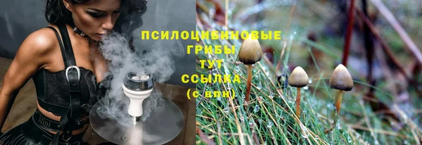 сатива Бородино