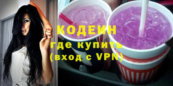сатива Бородино