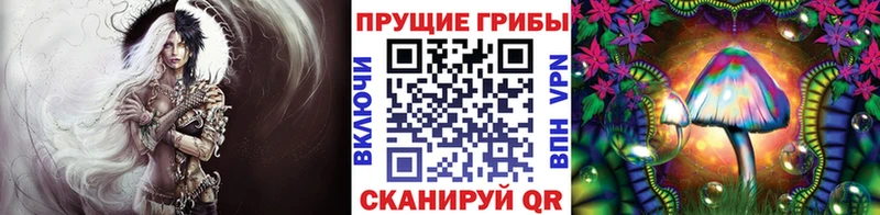купить закладку  Киренск  Псилоцибиновые грибы Magic Shrooms 